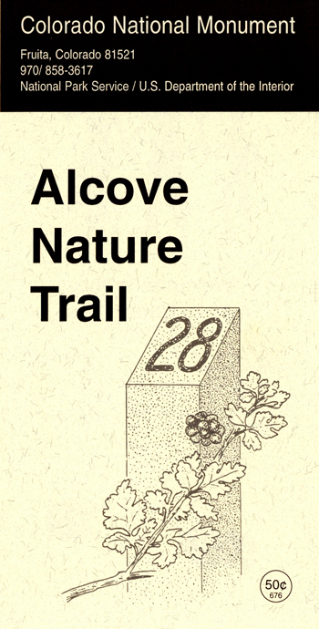 brochure cover