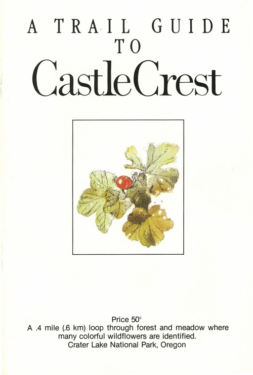 brochure cover