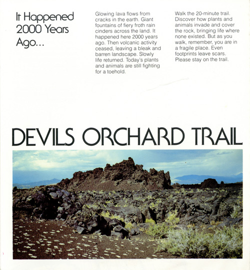 brochure cover