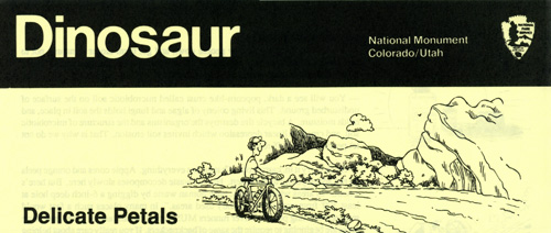 brochure cover