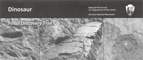 brochure cover