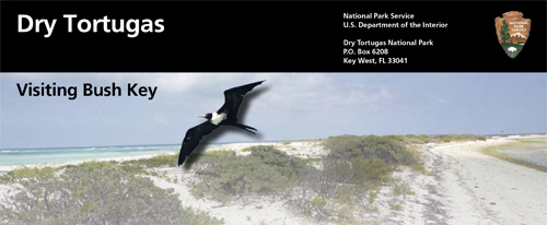 brochure cover