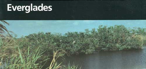 brochure cover