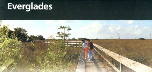 brochure cover