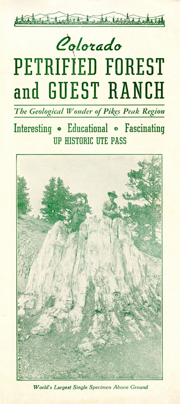 brochure cover