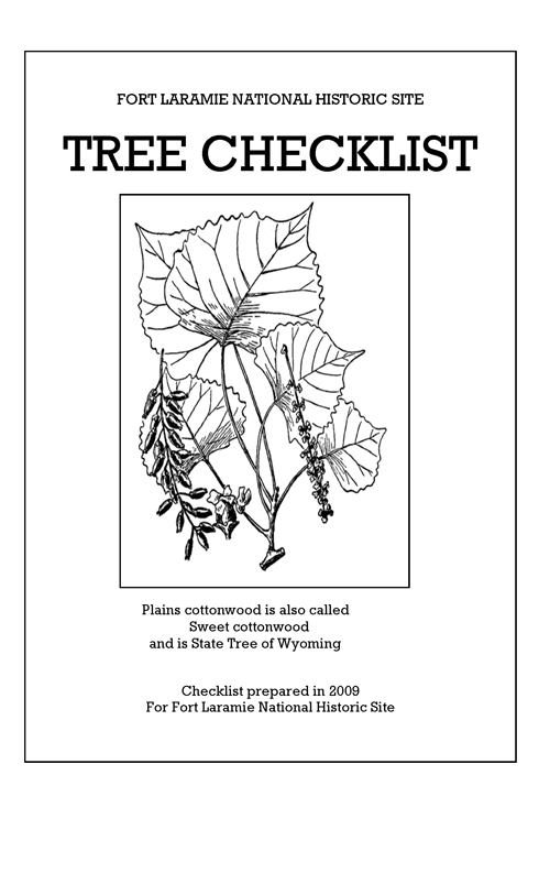 brochure cover