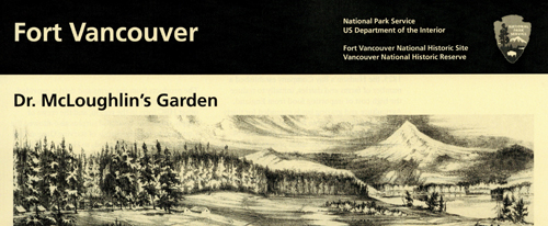 brochure cover