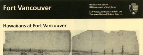 brochure cover