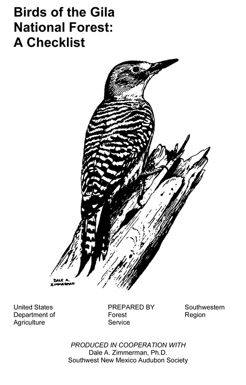 brochure cover