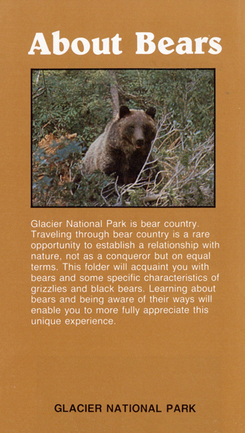 brochure cover