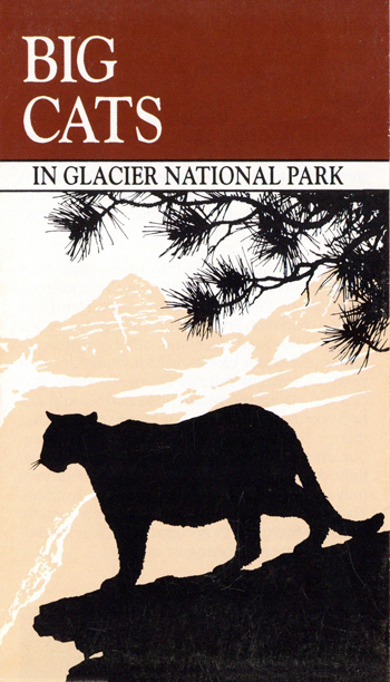 brochure cover