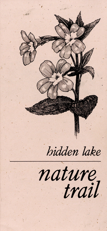 brochure cover