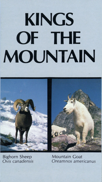 brochure cover