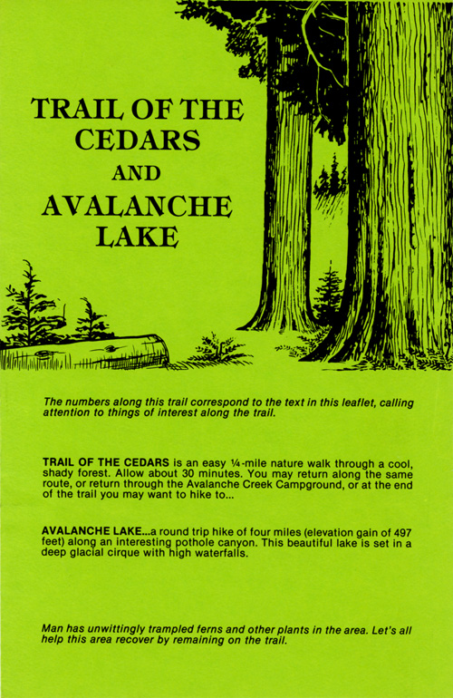 brochure cover