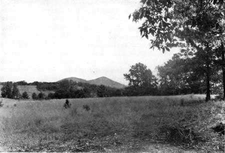 Kennesaw Mountain