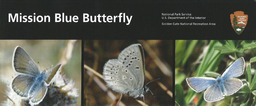 brochure cover