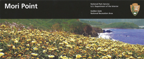 brochure cover