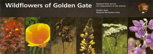 brochure cover