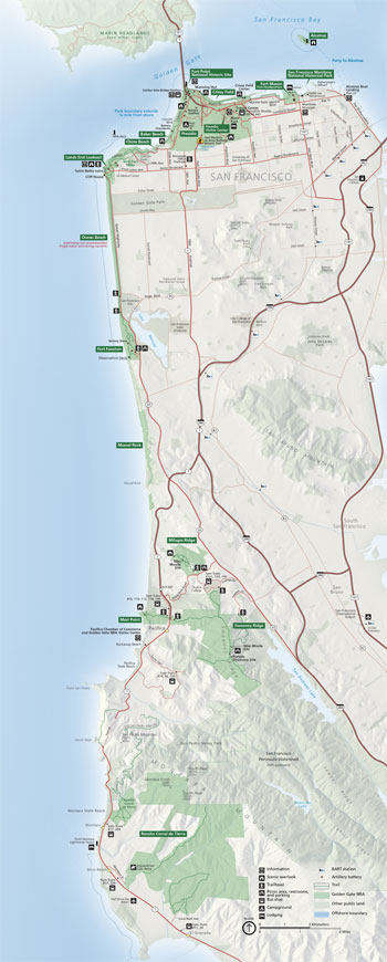 Harbor Seal Monitoring in the San Francisco Bay Area (U.S. National Park  Service)