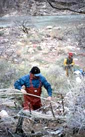  [Photo of Zuni Conservation Program personnel constructing checkdams near an archaeological site to slow down erosion.] 