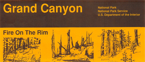 brochure cover