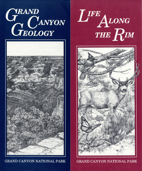 brochure cover