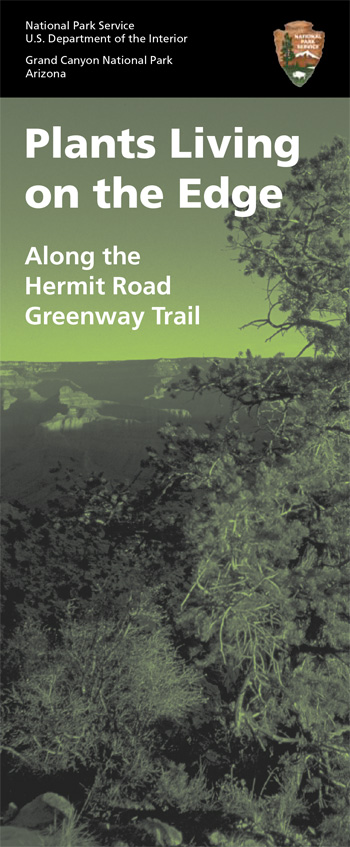 brochure cover