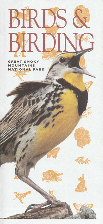 brochure cover