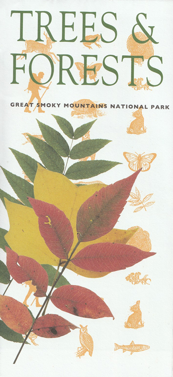 brochure cover