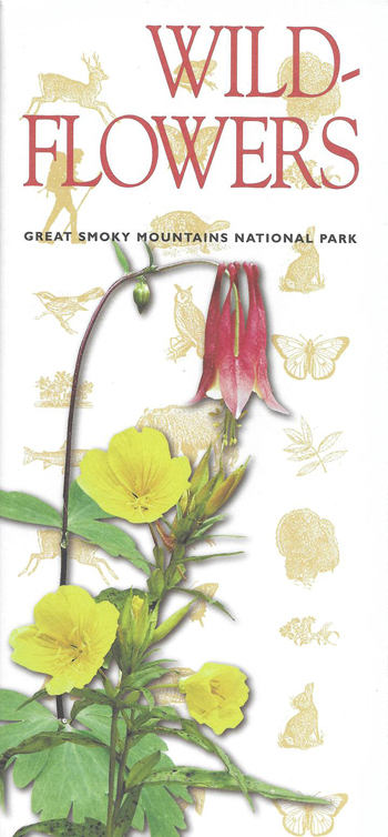 brochure cover