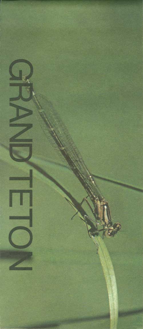 brochure cover