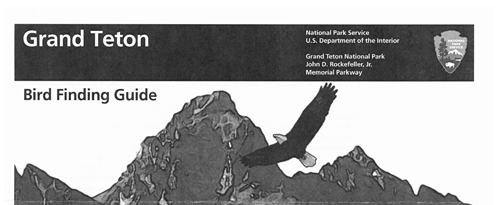 brochure cover