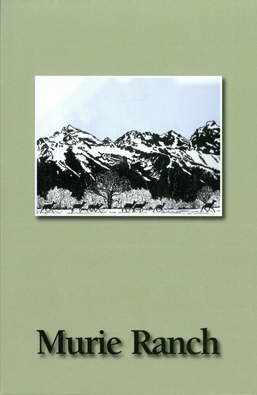 brochure cover