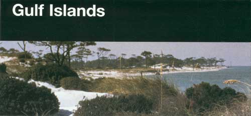 brochure cover