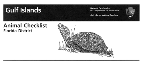 brochure cover