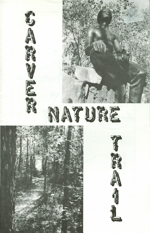 brochure cover