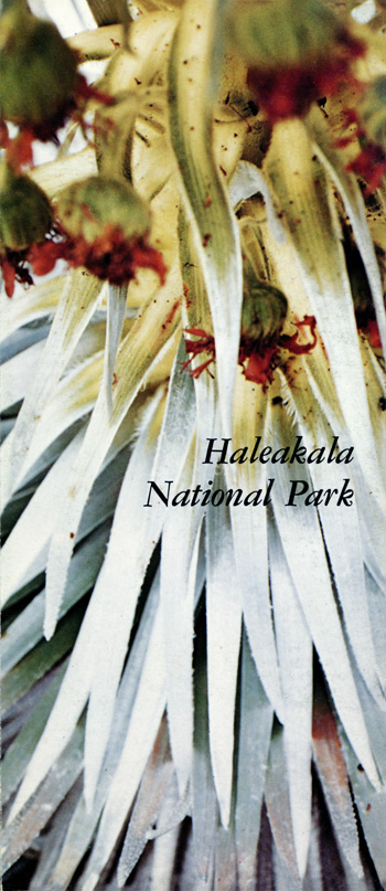 brochure cover