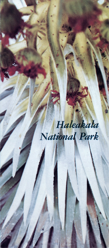 brochure cover