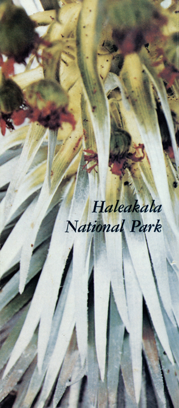 brochure cover