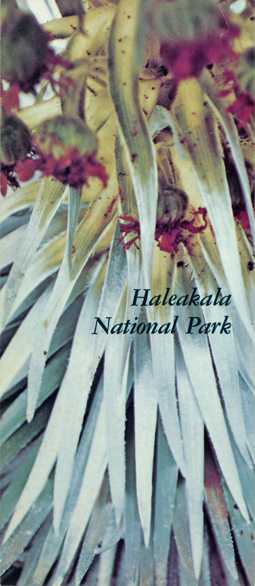 brochure cover