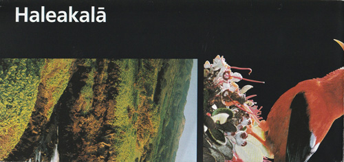 brochure cover