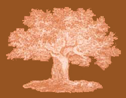 sketch of tree