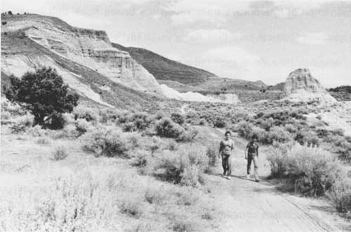 Visitors on a hiking trail at Foree