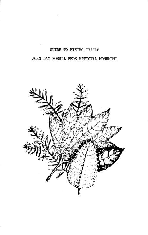 brochure cover