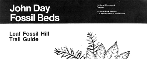 brochure cover