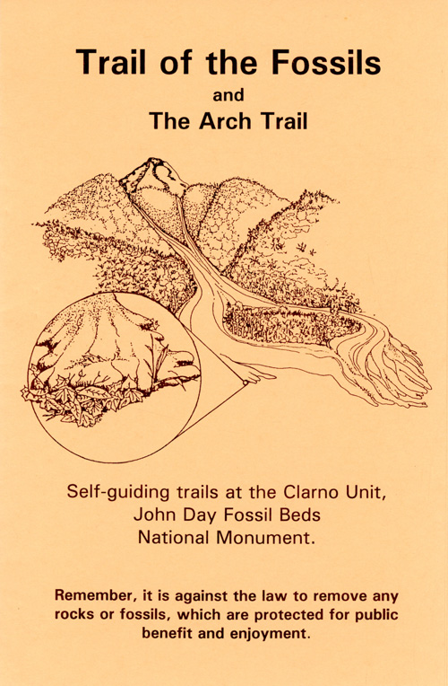 brochure cover