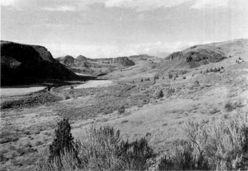 view of the Bridge Creek drainage