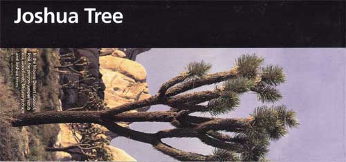 brochure cover