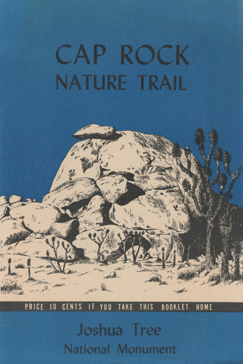 brochure cover