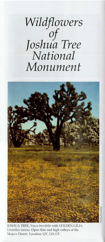 brochure cover